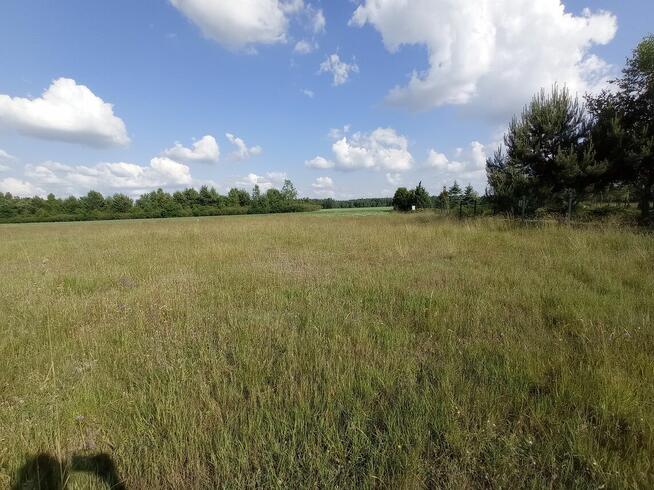 Działka budowlana na wsi 700 m kw w otoczeniu przyrody