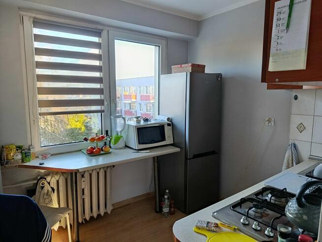 Sprzedam mieszkanie spokojna okolica Płock