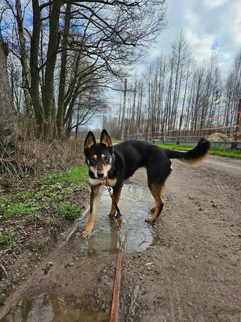 Jedna Nutka, wielkie serce – może Ty ją weźmiesz w ręce?
