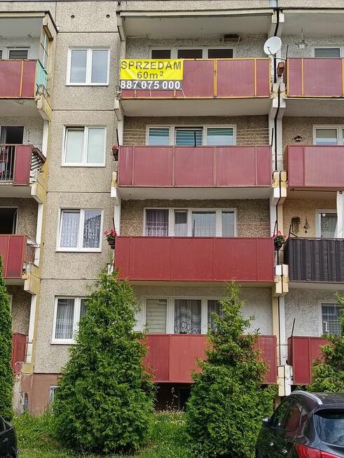 Mieszkanie w Kole 60mkw