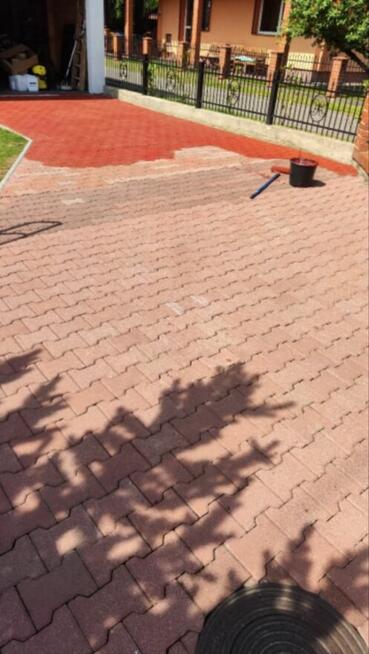 Usługi Ogrodnicze Mycie elewacji i malowanie.Mycie kostki