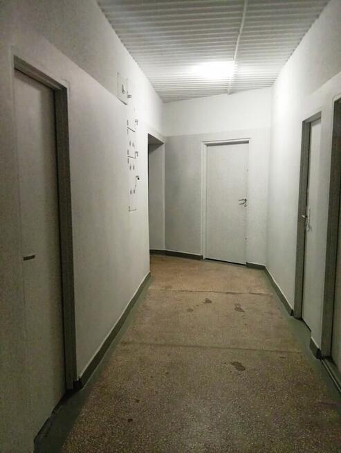 Mieszkanie z potencjałem w zielonej okolicy.