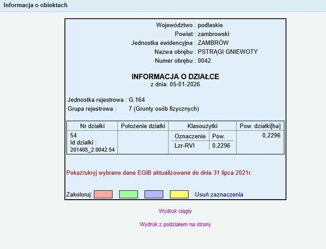Działka rolna zalesiona dz. nr 54