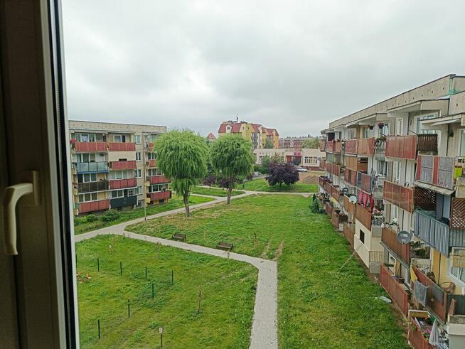 Mieszkanie w Kole 60mkw