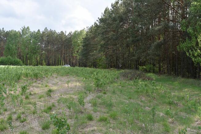 Działka rolna z lasem ok. 1ha.