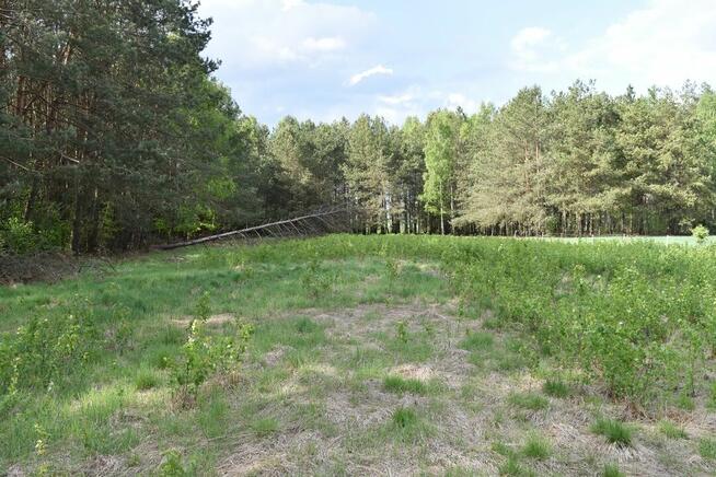 Działka rolna z lasem ok. 1ha.