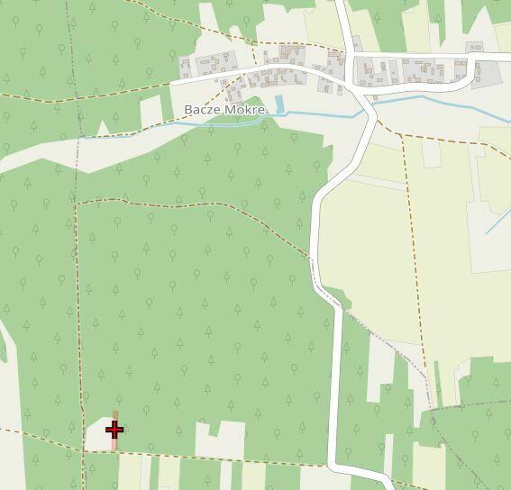 Działka rolna zalesiona dz. nr 54