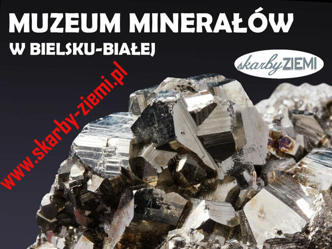 Zatrudnię sprzedawcę w sklepie z minerałami