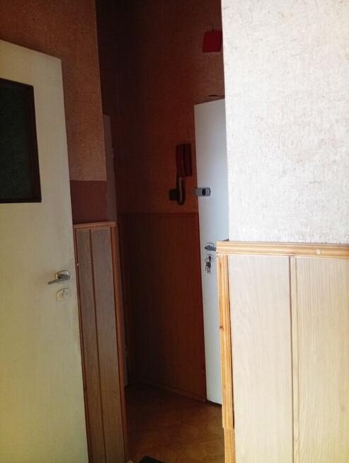 Mieszkanie z potencjałem w zielonej okolicy.