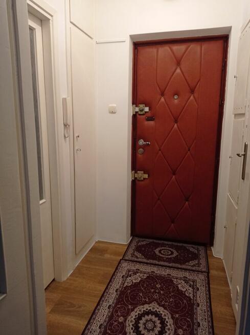 Mieszkanie Grzegórzki Nullo 36m2 wynajmie bezpośrednio właśc