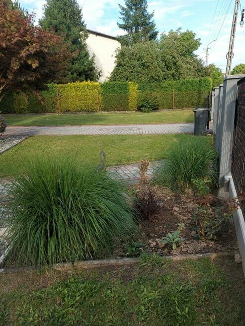 dom do wejścia, duża działka