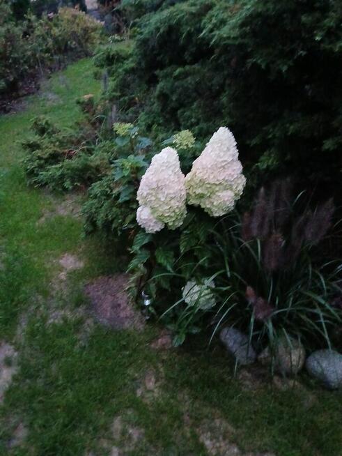 Dzialka Rod OkAzJa , MeGa ZaDbAnA