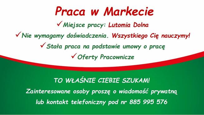 Praca w Markecie Dino Polska Lutomi Dolnej