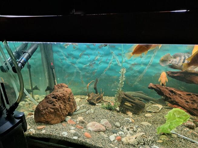 Sprzedam akwarium