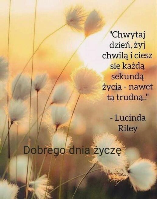 Propozycja nie do odrzucenia , dialog , kultura .