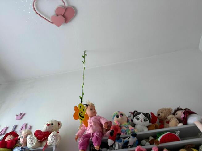 Zamiana mieszkania na dom.