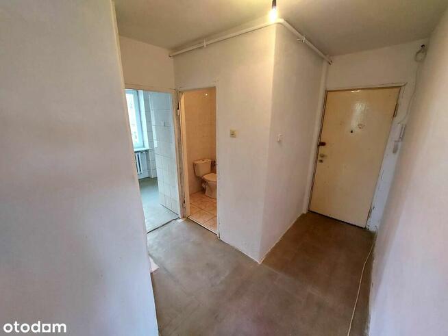 Słoneczne mieszkanie w centrum Piły - 45 m2 - na sprzedaż