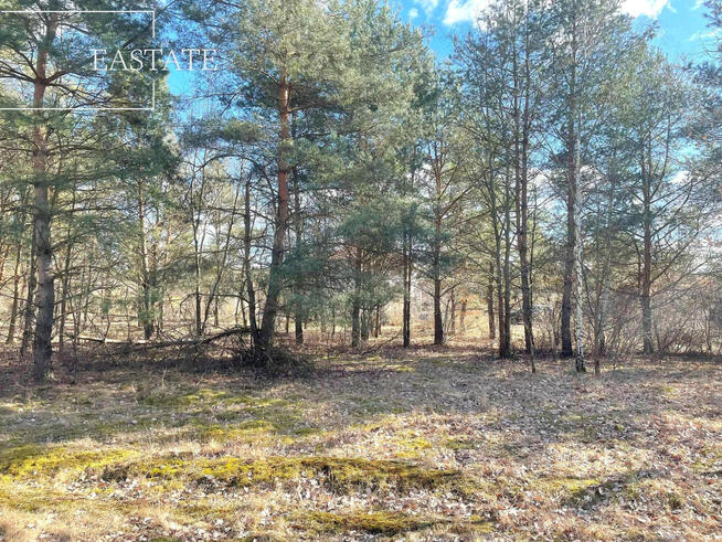 Działka inwestycyjna Józefów, Owsiana