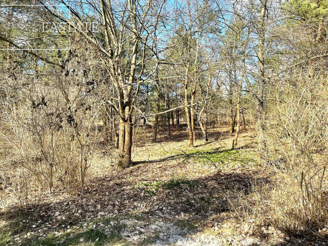 Działka inwestycyjna Józefów, Owsiana