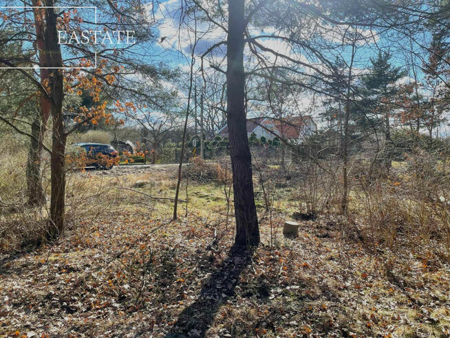 Działka inwestycyjna Józefów, Owsiana