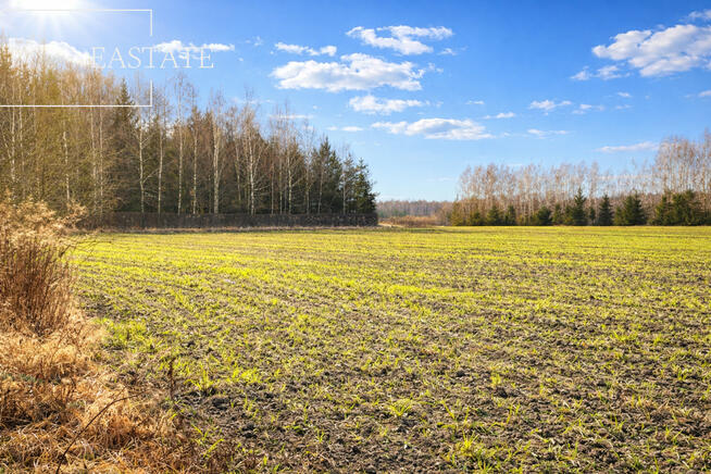 Działka inwestycyjna Harsz gm. Pozezdrze,