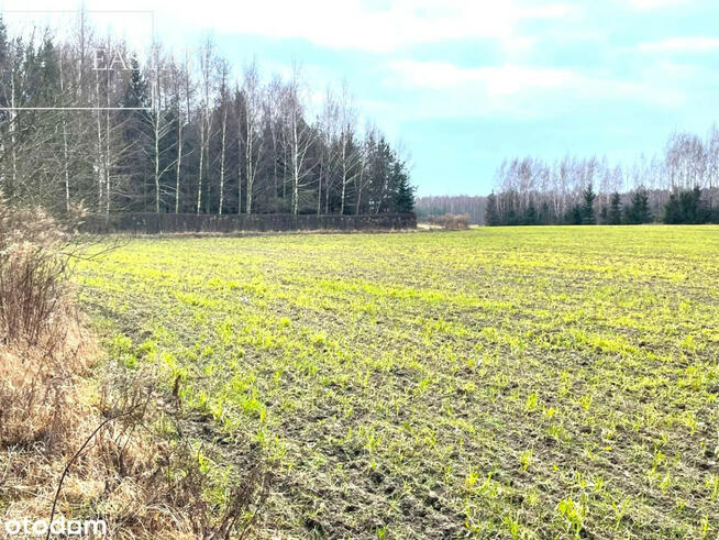 Działka inwestycyjna Harsz gm. Pozezdrze,