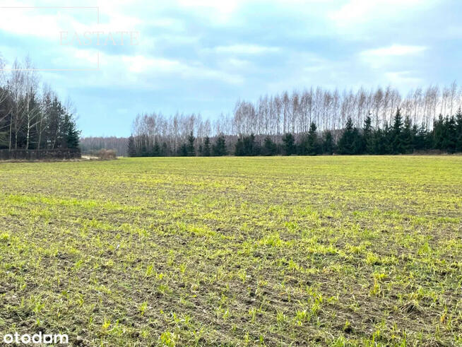 Działka inwestycyjna Harsz gm. Pozezdrze,