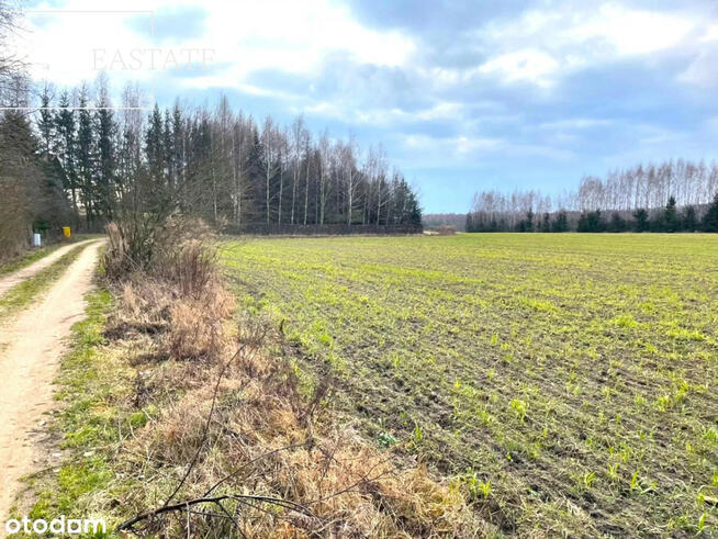 Działka inwestycyjna Harsz gm. Pozezdrze,