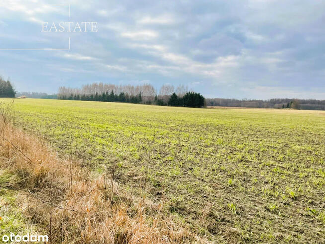 Działka inwestycyjna Harsz gm. Pozezdrze,