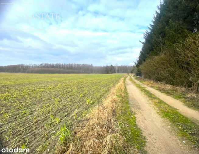 Działka inwestycyjna Harsz gm. Pozezdrze,