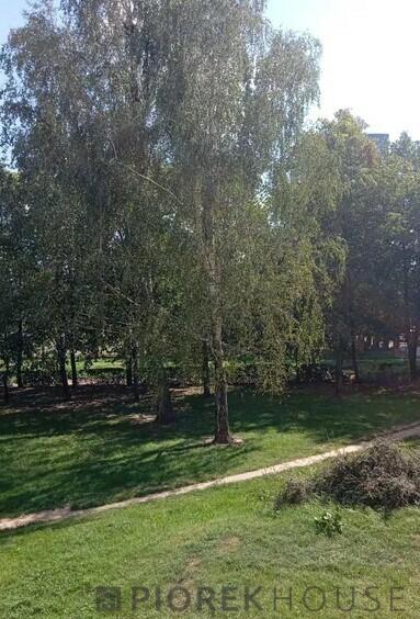 Kawalerka z oddzielną kuchnią na Pradze Południe