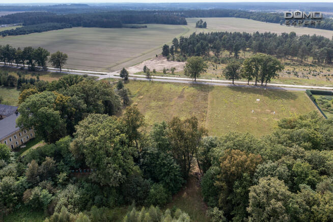 Działka rolna Dąbrowa Bolesławiecka gm. Bolesławiec,