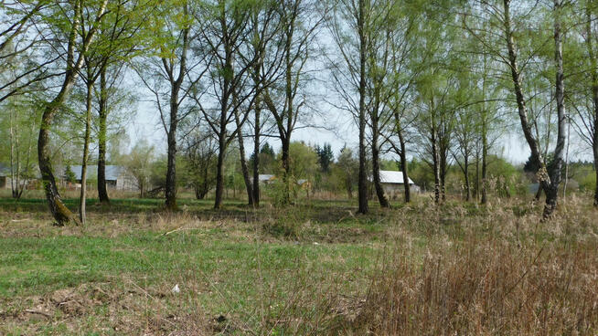 Działka budowlana Chojnów gm. Piaseczno, Graniczka