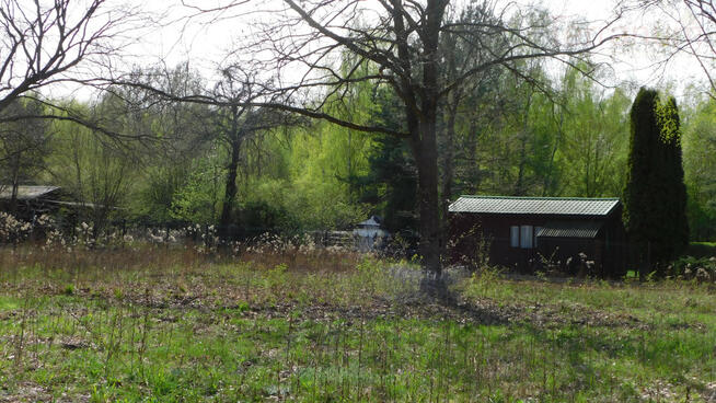 Działka budowlana Chojnów gm. Piaseczno, Graniczka