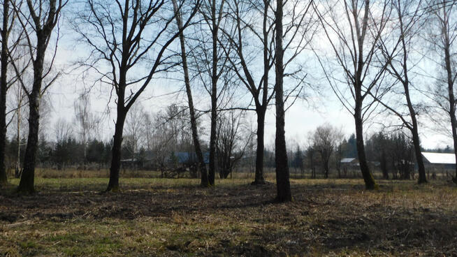 Działka budowlana Chojnów gm. Piaseczno, Graniczka