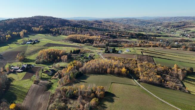 Działka siedliskowa Smarżowa gm. Brzostek