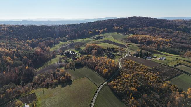 Działka siedliskowa Smarżowa gm. Brzostek