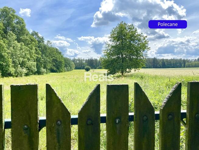 Działka Złotopolice