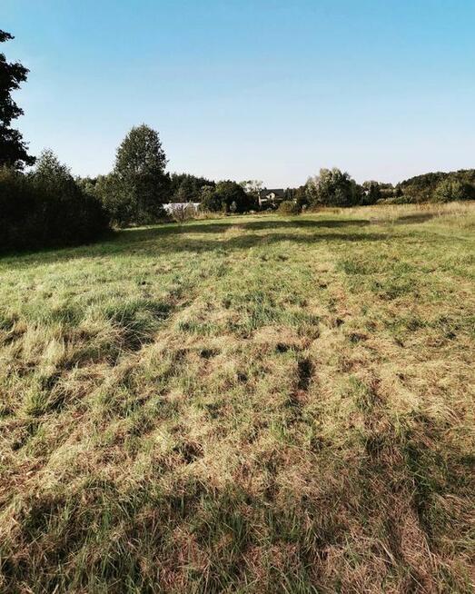 Sprzedam dzialke Wilków Nowy gmina Leoncin