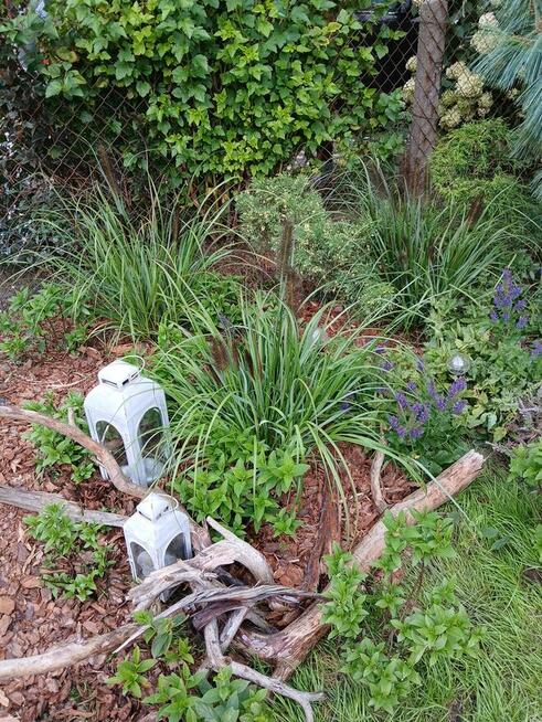 Dzialka Rod OkAzJa , MeGa ZaDbAnA