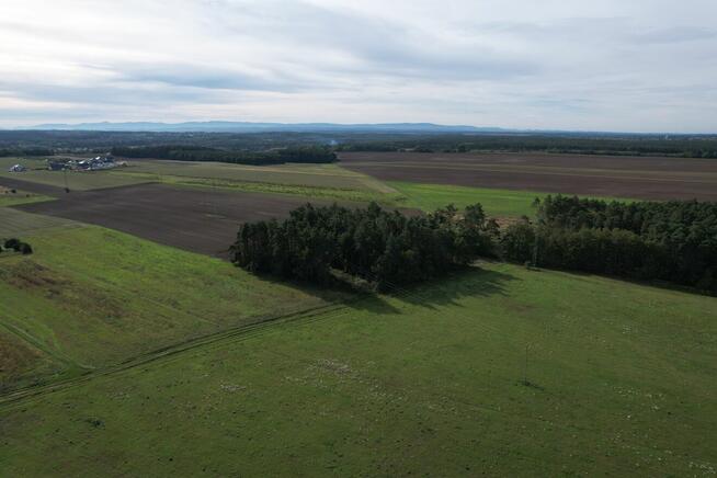 Dom w zabudowie szeregowej! Ogródek + 2 miejsca postojowe!