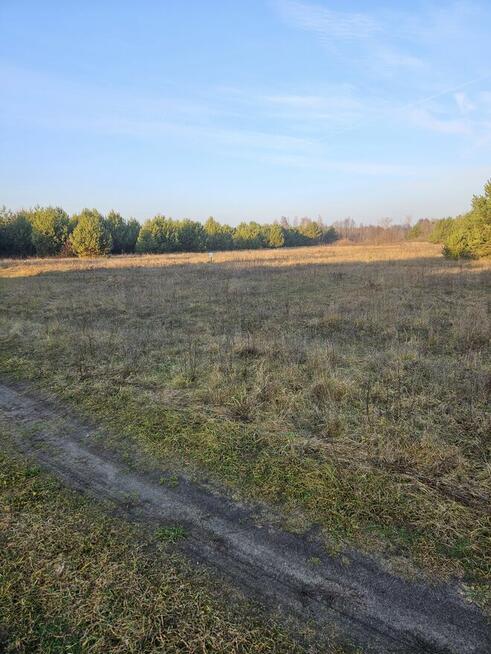 Sprzedam działkę bud- rolną w Łabędziowie 1,1 ha Morawica