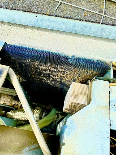 Czyszczenie i odgrzybianie klimatyzacji - CZYSTA KLIMA