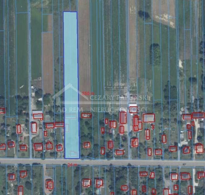 Dom Siennica Różana, Siennica Różana