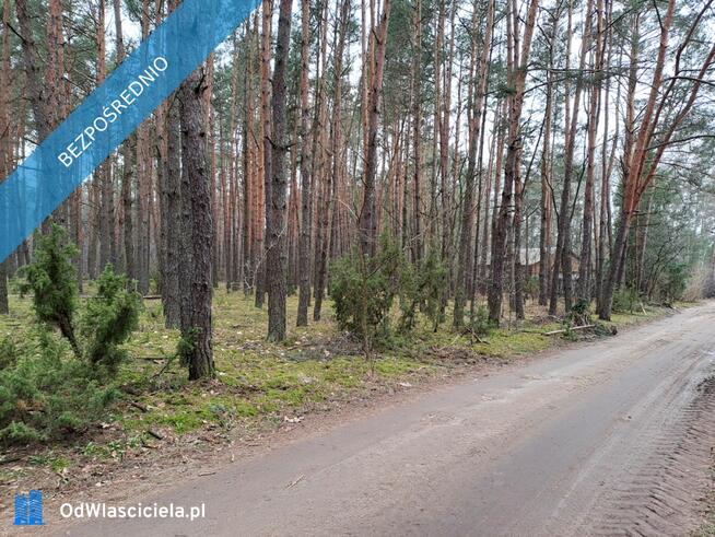 Działka leśna z możliwością zabudowy w MPZP