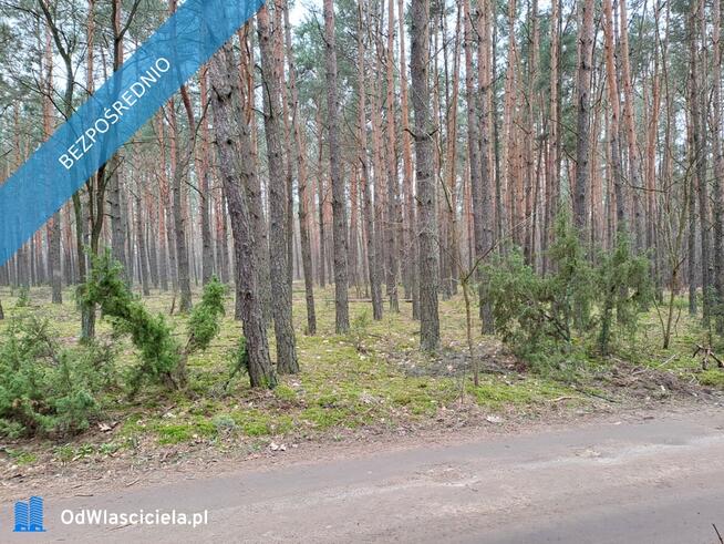 Działka leśna z możliwością zabudowy w MPZP