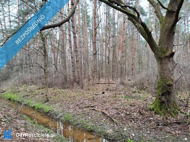Działka leśna z możliwością zabudowy w MPZP