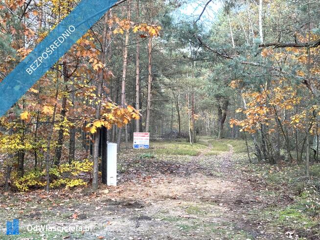 Działka leśna z możliwością zabudowy w MPZP