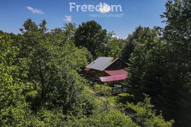 Działka 62,87 ar z zabudowaniami przy lesie
