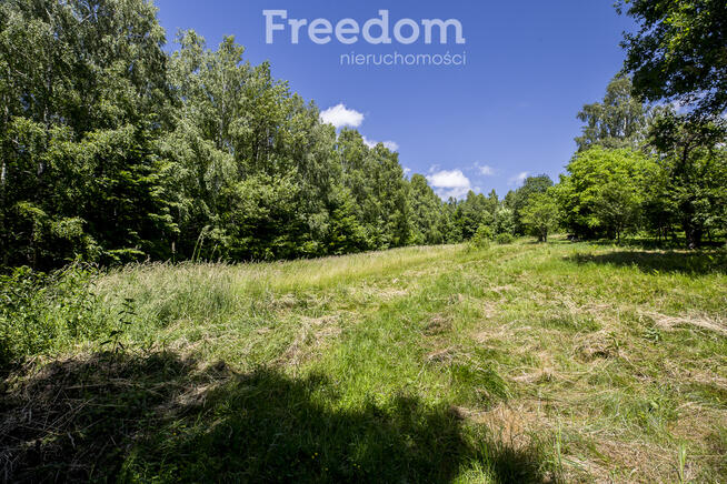 Działka 62,87 ar z zabudowaniami przy lesie